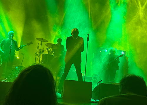 05_live